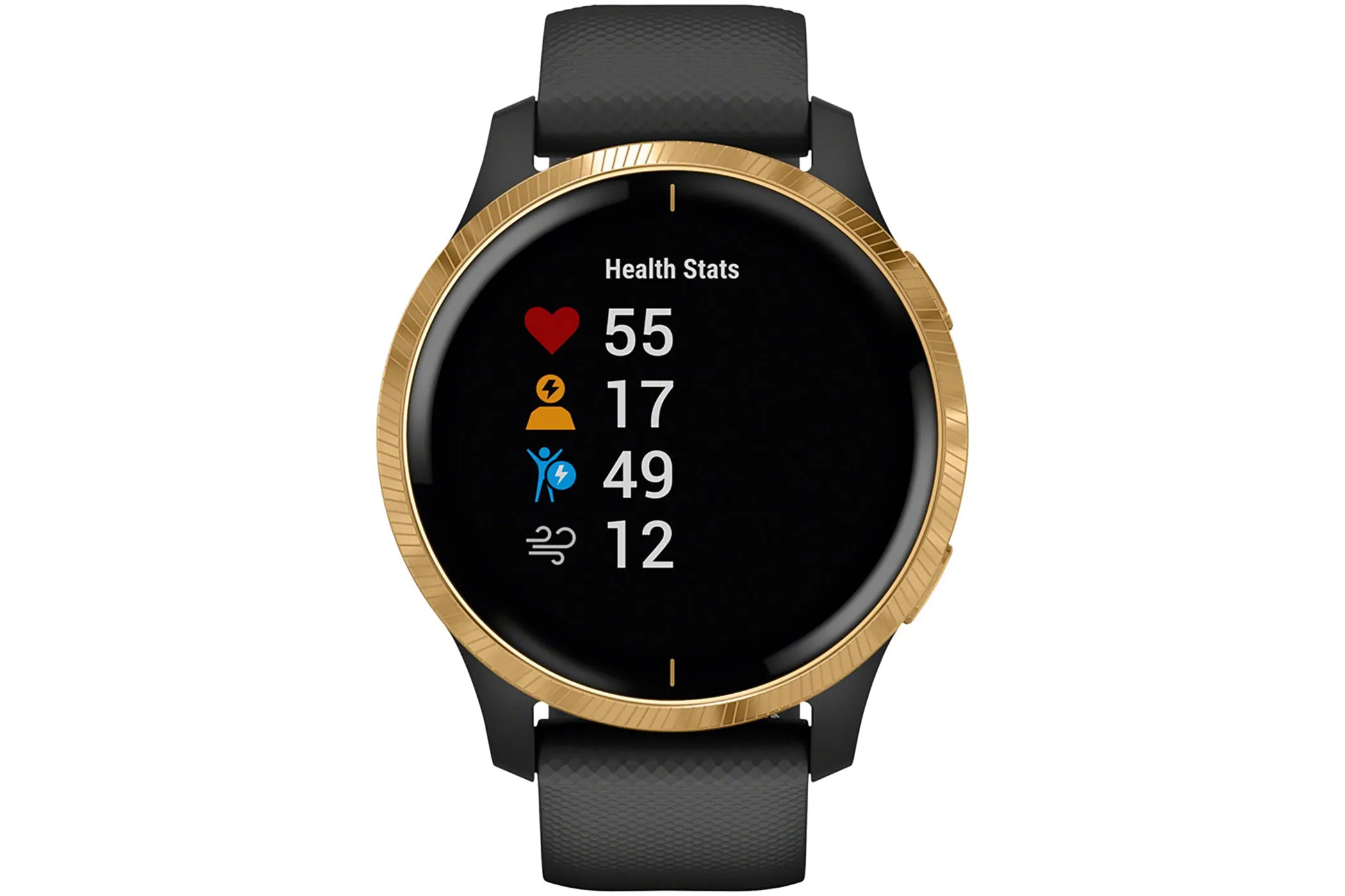 Garmin Venu Smartwatch Black/Gold