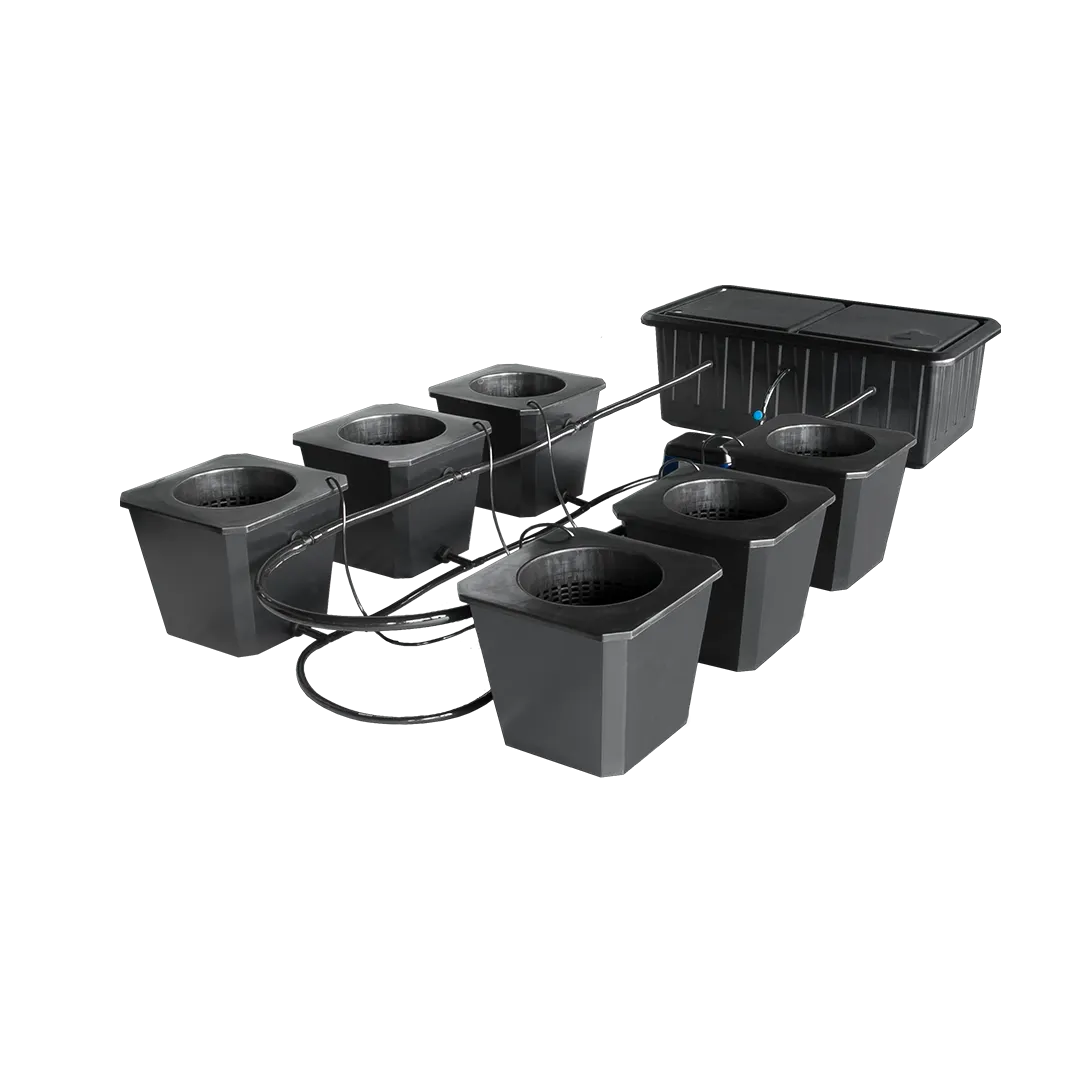 Hydroponic Bucket System