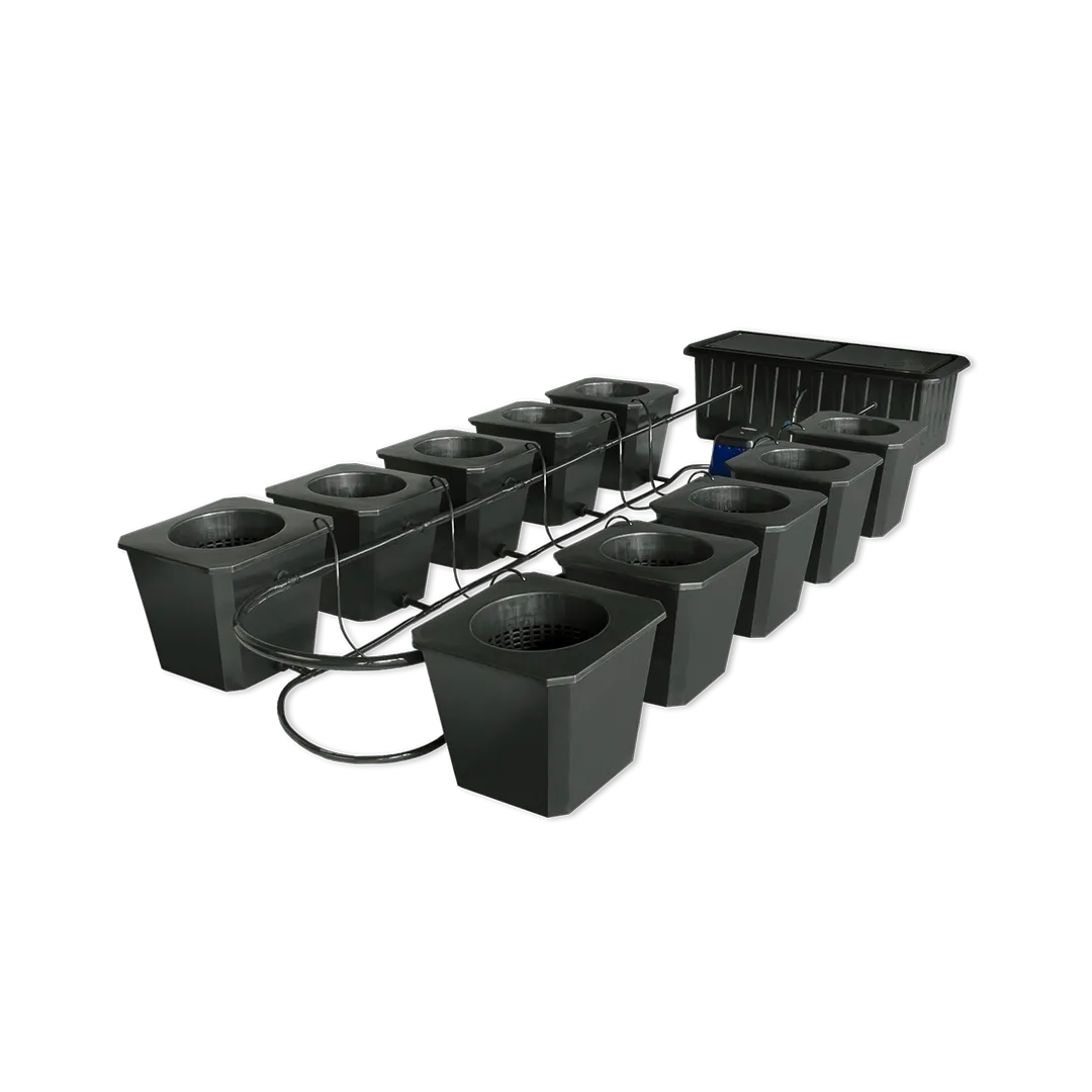 Hydroponic Bucket System