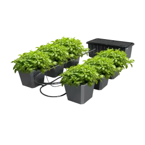 Hydroponic Bucket System