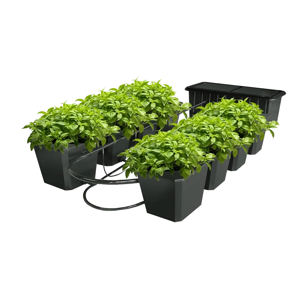 Hydroponic Bucket System