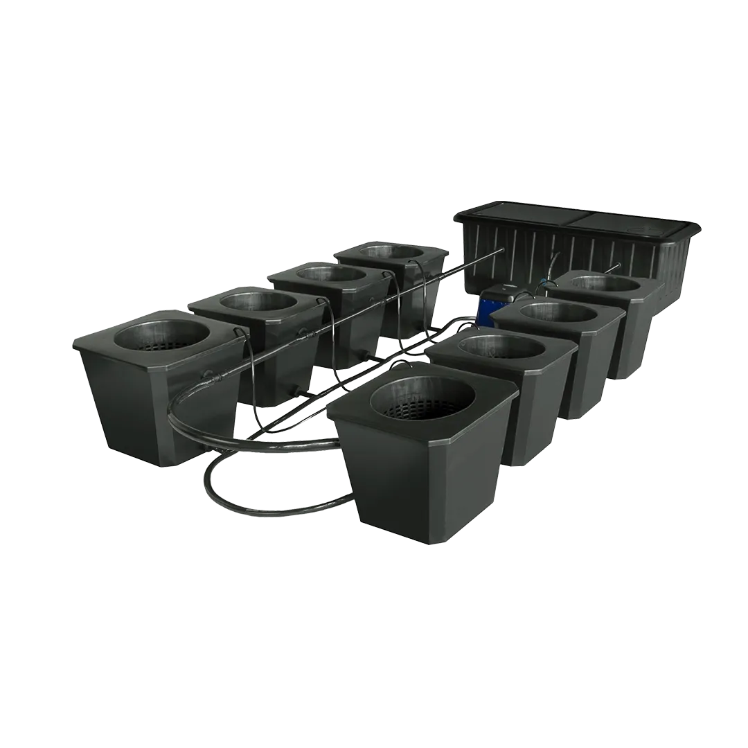 Hydroponic Bucket System