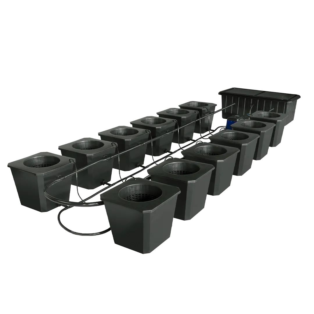 Hydroponic Bucket System