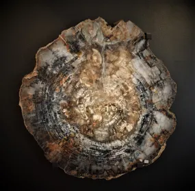 Petrified Wood Arizona Wall Hanging